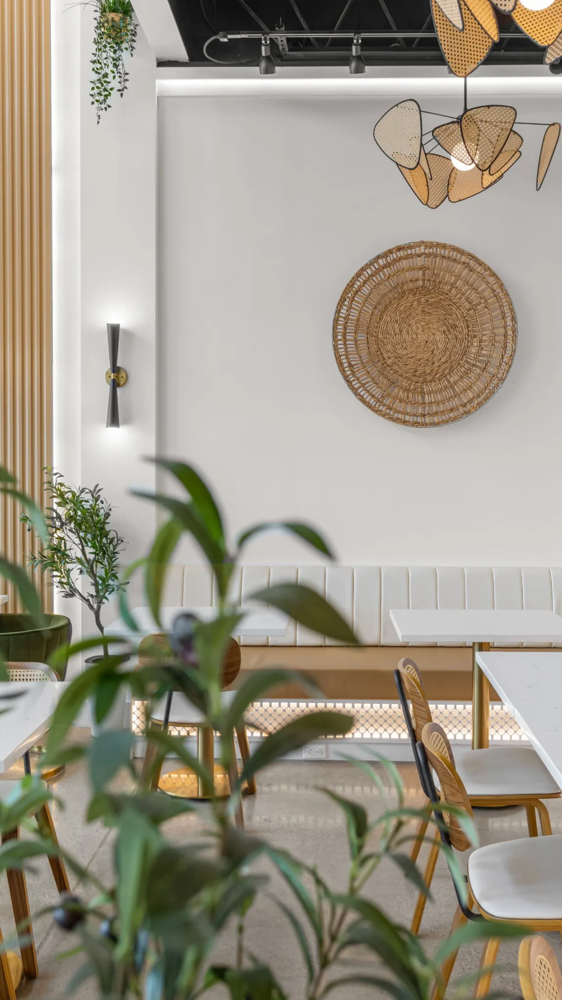 Calm seating area at Adeni